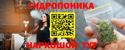 стафф Лесосибирск