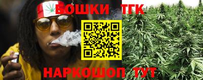стафф Лесосибирск