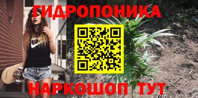 стафф Лесосибирск