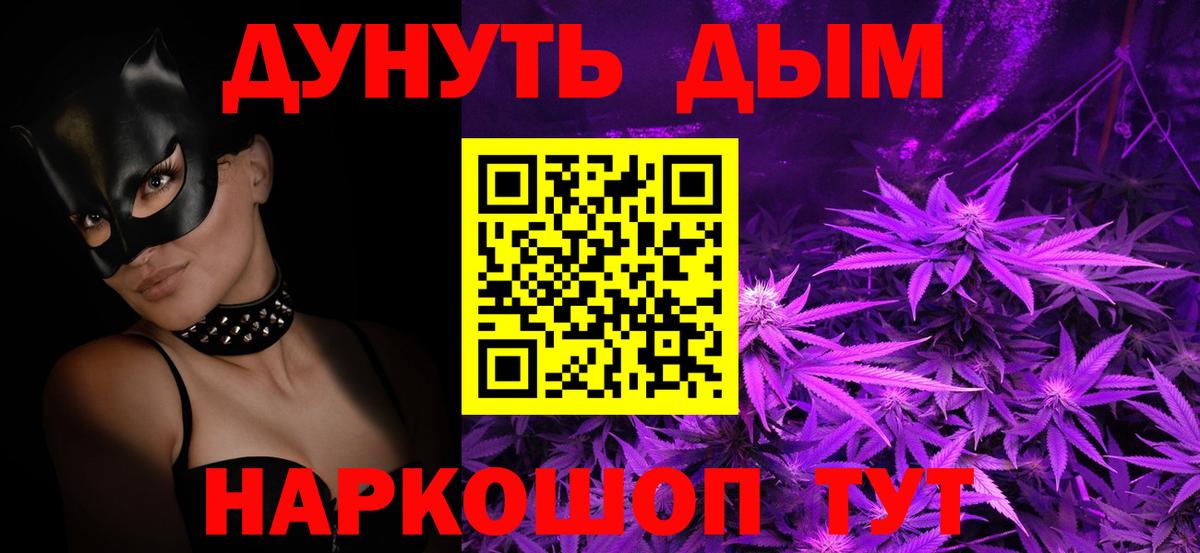 Конопля сатива Невинномысск